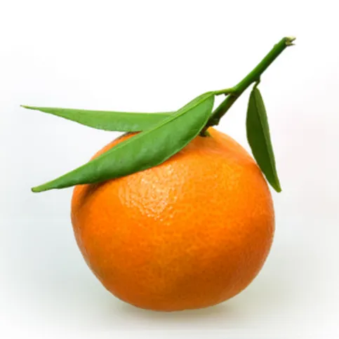 Satsumas 5 Pack