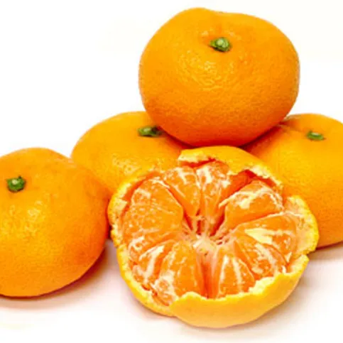 SATSUMA SPAIN CLASS I