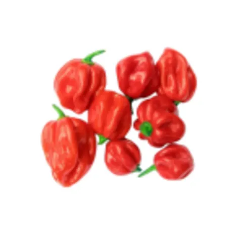 Scotch Bonnet Per Kilo