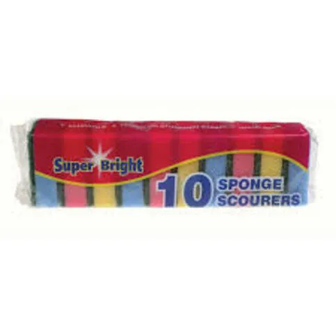 SPONGE SCOURERS 10 PACK