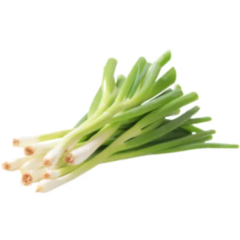 Spring Onion