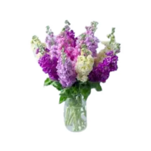Co Op Flowers Stocks Bouquet Pm 1s
