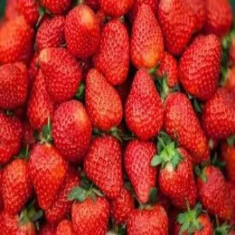 Strawberries Punnets