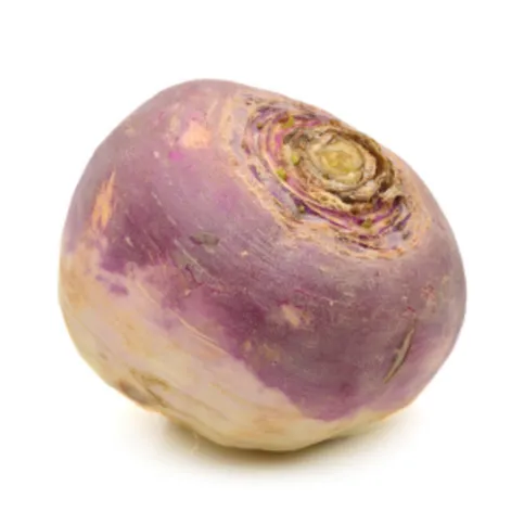 Turnip 