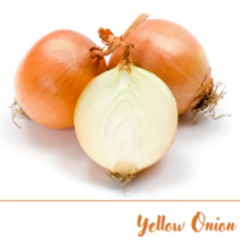 Onion