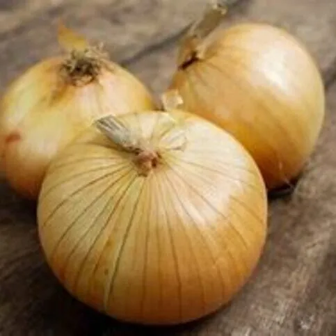 White onions