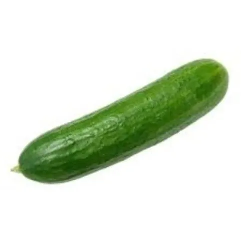 WHOLE CUCUMBER