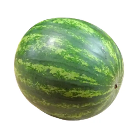 Whole Watermelon