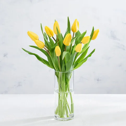 Co-op British Tulips