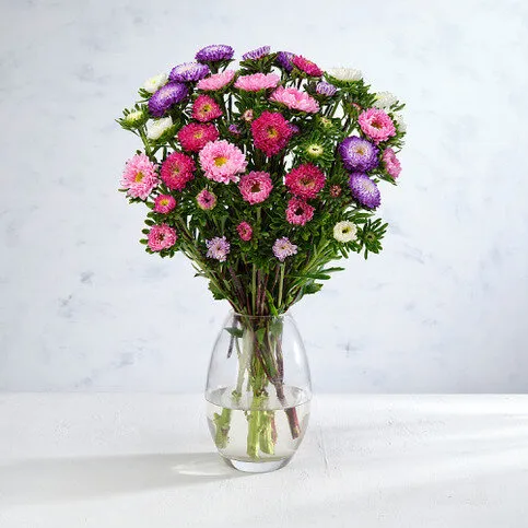 Co-op Florist Asters