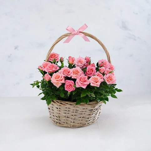 Co-op Florist Basket of Blooms