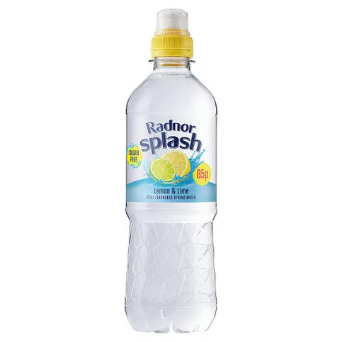 Radnor Splash Lemon & Lime Still Flavoured Spring Water 500ml