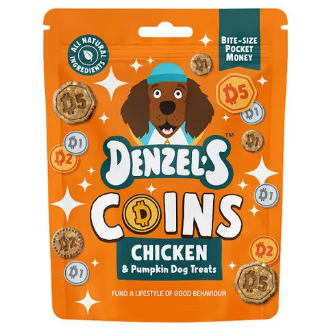 Denzel's Coins Chicken & Pumpkin Dog Treats 90g
