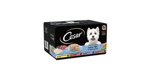 Cesar Senior in Jelly 150g 8 pack
