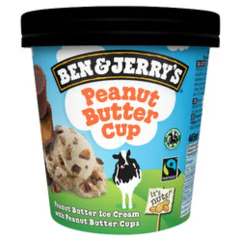 Ben & Jerry's Peanut Butter Cup Ice Cream 465ml