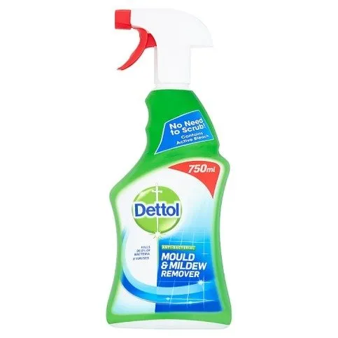 Dettol Antibacterial Mould & Mildew Remover 750ml