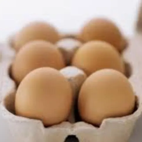 Large Eggs 6 Pack