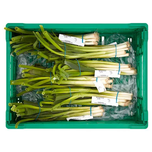 Heritage Spring Onions