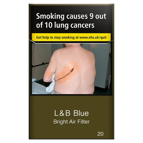L&B Blue Bright Air Filter 20 Pack