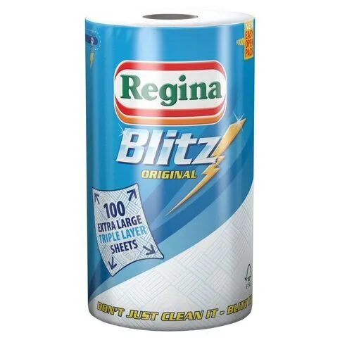 Regina Blitz Household Towel 100 Super-Sized Sheets