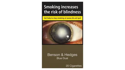 B&H Benson & Hedges Blue Dual 20's Cigarettes