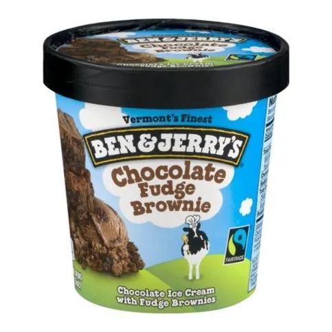 Ben & Jerry's Choc Fudge Brownie 100ml