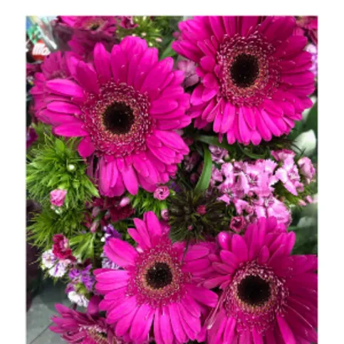 Co Op Sweet William & Germini Bouquet