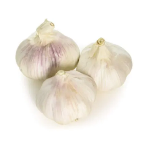 Farm Fresh Garlic