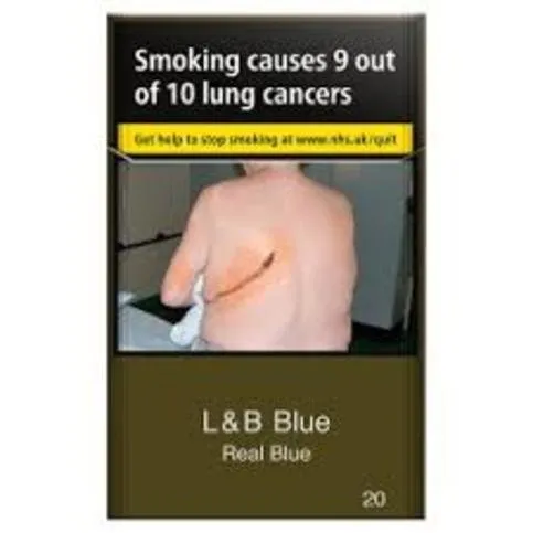 L&B King Size Original Silver 20 Pack