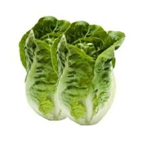 The Greengrocer's Little Gem Lettuce 2 pack