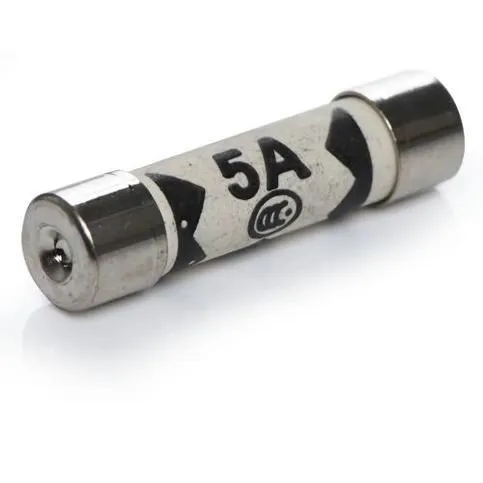 Little Things 5 Amp Fuses