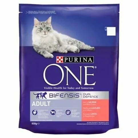 Purina ONE Adult Cat Rich in Salmon Dry Food 800g
