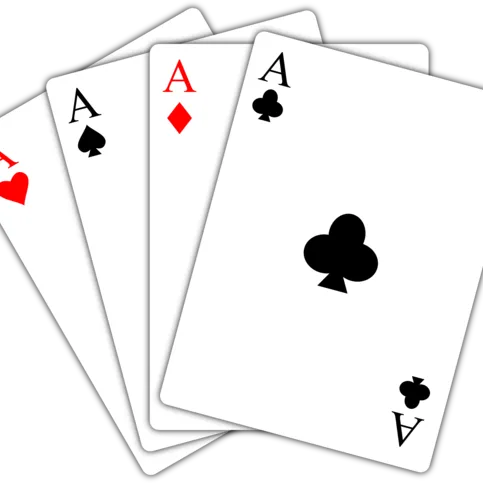 Playing Cards 2pk