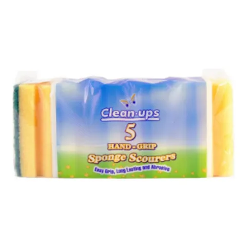 Sponge Scourer