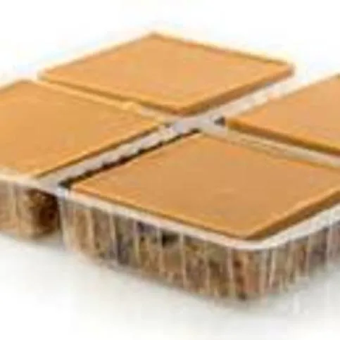Willow House Bakery Caramel Tiffin 4 Pack