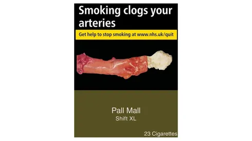 Pall Mall Shift King Size XL 23 Cigarettes