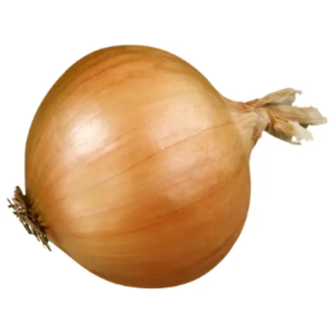Onions 3 Pack