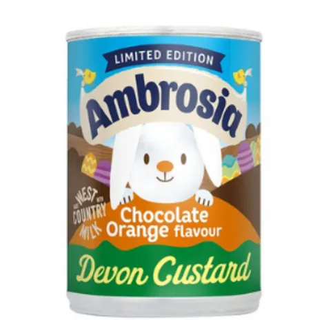 Ambrosia Chocolate Orange Flavour Devon Custard 400g