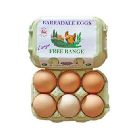 Organic Free Range Eggs Large 6pk