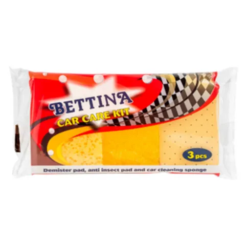 Bettina Car Kit: Demister, Bug Sponge, General Cleaning Sponge