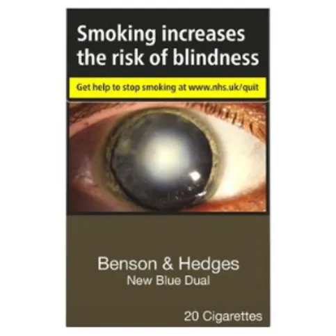 Benson & Hedges Blue Dual 20