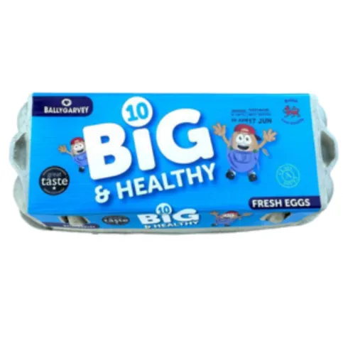 Big & Healthy 10 Fresh Eggs