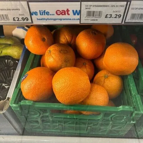 Big Orange 