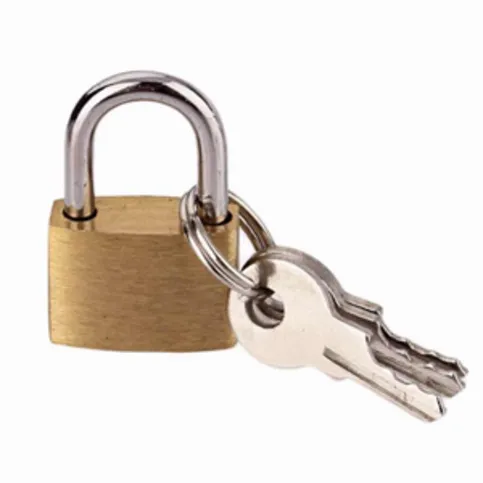 Bits n Bobs Padlock