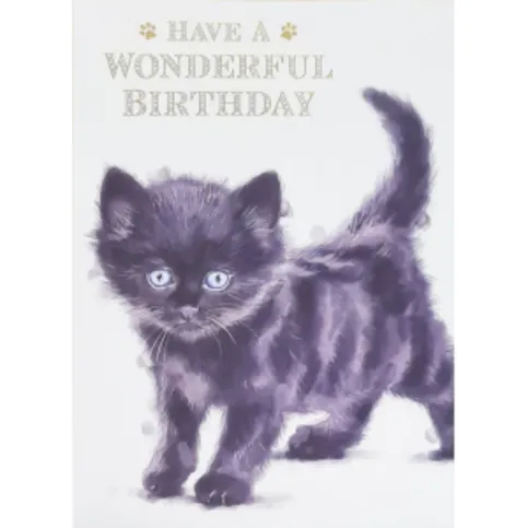 Black Kitten Cat Have a Wonderful Birthday