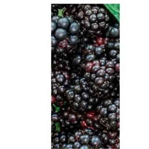 Brambles - 125G