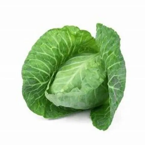 Cabbage Hispi each