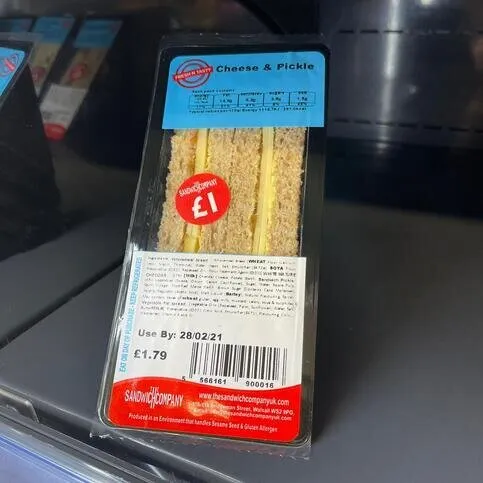 Cheese and Pickle Sandwich