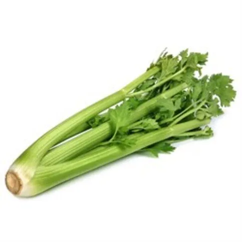 CHILLED: SPAR CELERY SINGLE