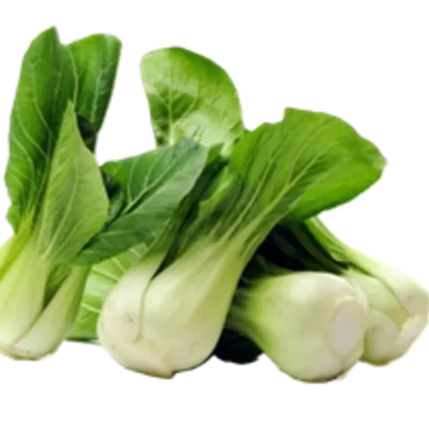 CHILLED: SPAR PAK CHOI TWIN